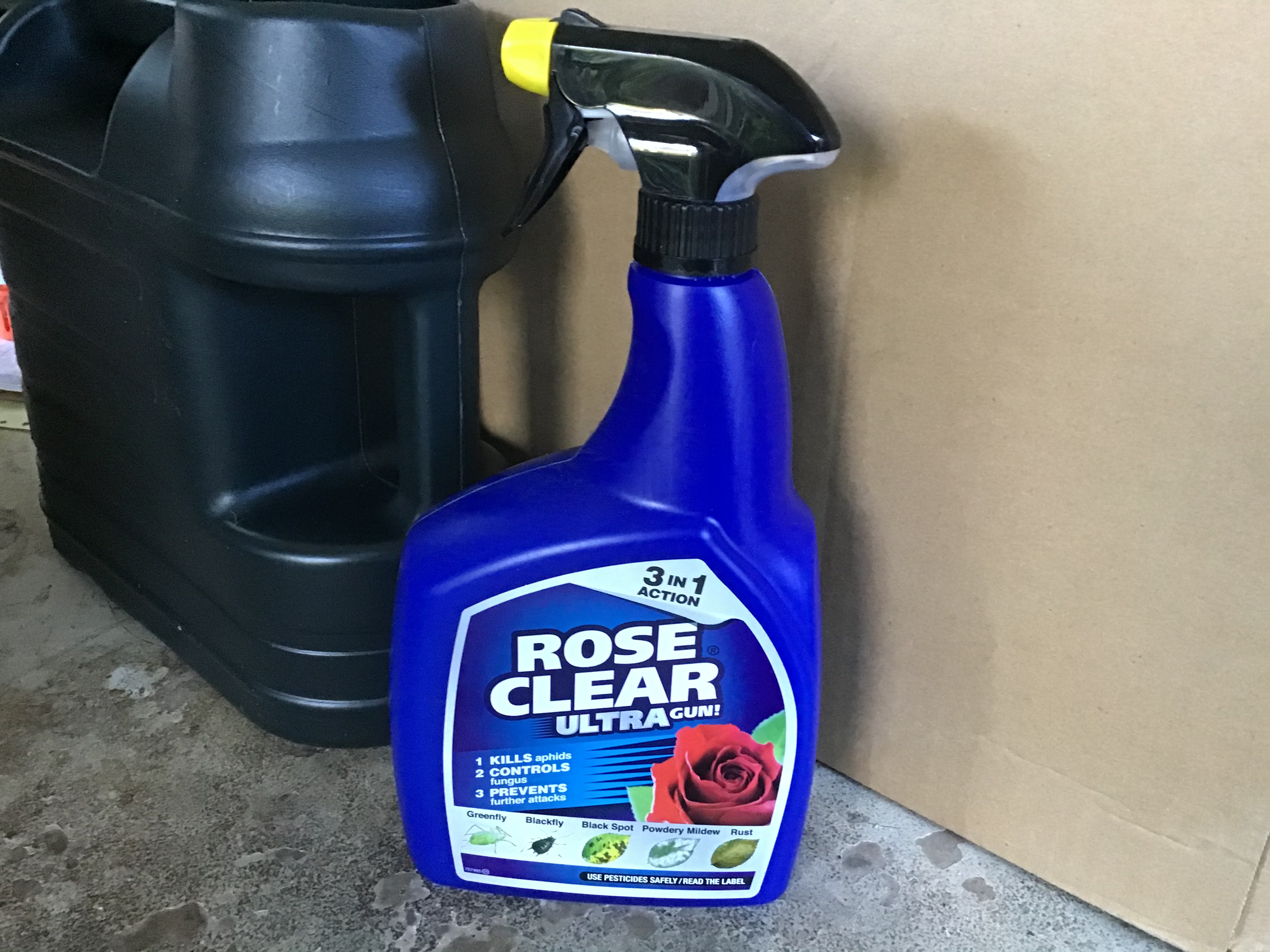 Rose Clear Ultra Kew Gardener